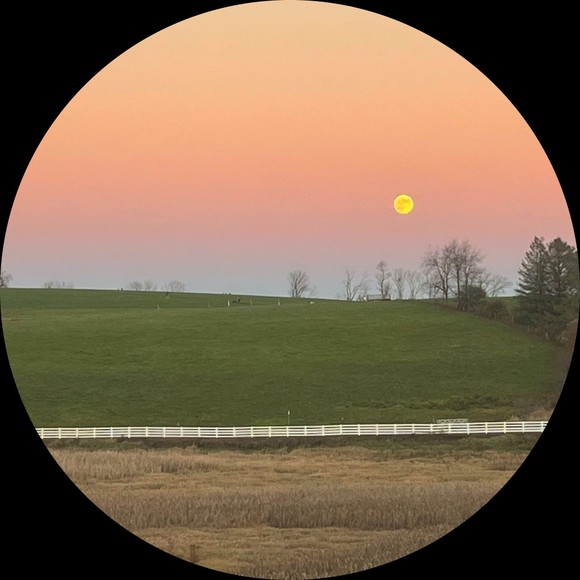 cabellapatch
